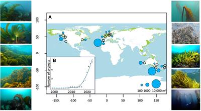 Upscaling marine forest restoration: challenges, solutions and recommendations from the Green Gravel Action Group